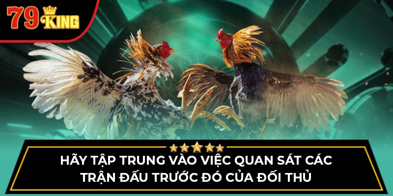 Hãy tập trung vào việc quan sát các trận đấu trước đó của đối thủ